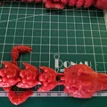 Rồng khớp nối in tại chỗ đẹp mắt - Thumbnail 2