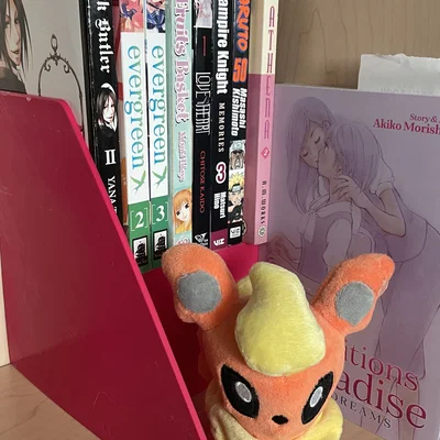 Giá đỡ sách manga với giá đỡ sách bên trái