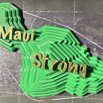 Trọng lượng giấy Maui Strong tưởng niệm nạn nhân vụ cháy La...