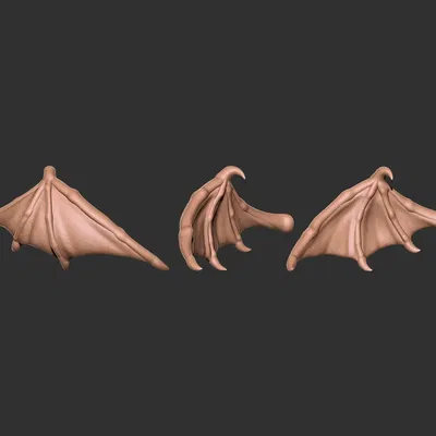 Cánh rồng 3D chi tiết cho dự án nghệ thuật