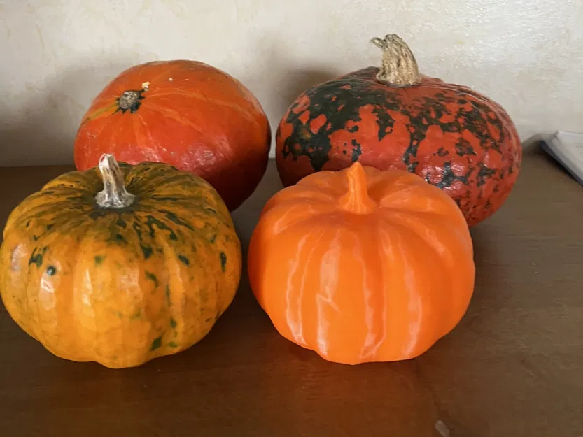 Quả bí ngô thật quét 3D bằng máy RevoPoint - Image 1