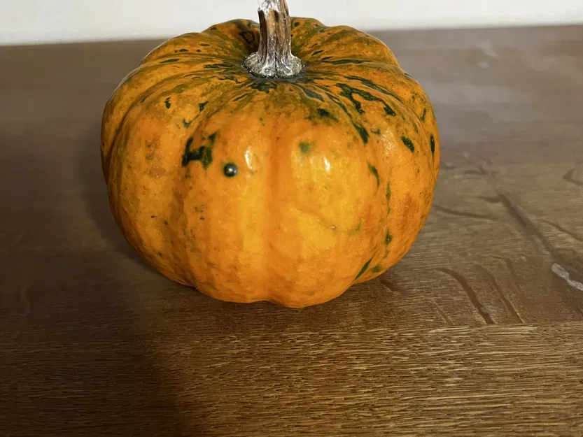 Quả bí ngô thật quét 3D bằng máy RevoPoint - Image 2