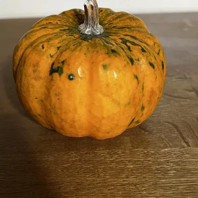 Quả bí ngô thật quét 3D bằng máy RevoPoint