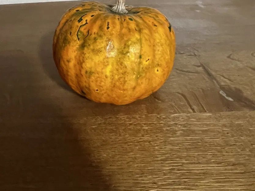 Quả bí ngô thật quét 3D bằng máy RevoPoint - Image 3