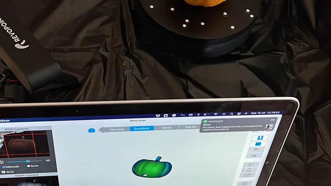 Quả bí ngô thật quét 3D bằng máy RevoPoint - Image 4