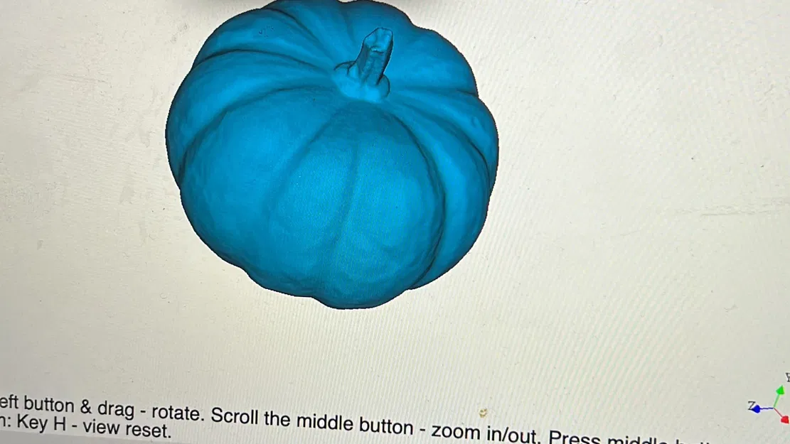 Quả bí ngô thật quét 3D bằng máy RevoPoint - Image 5