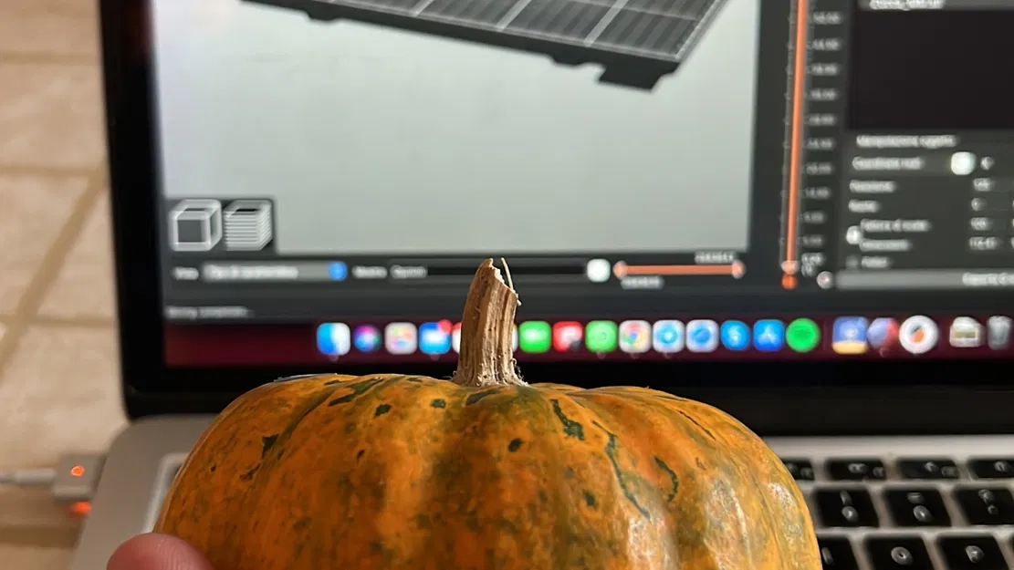 Quả bí ngô thật quét 3D bằng máy RevoPoint - Image 6