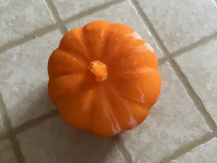 Quả bí ngô thật quét 3D bằng máy RevoPoint - Image 8