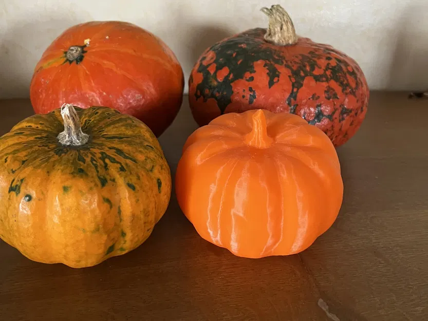 Quả bí ngô thật quét 3D bằng máy RevoPoint - Image 9