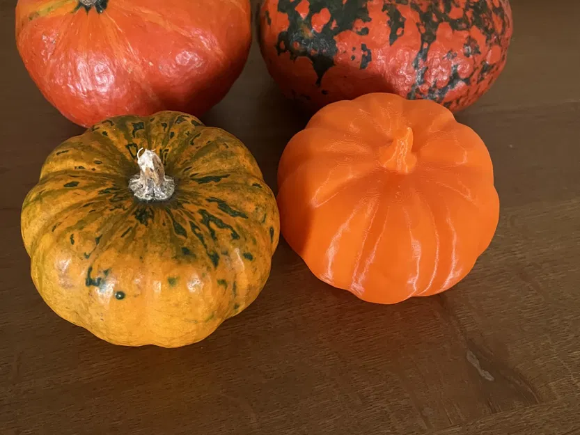 Quả bí ngô thật quét 3D bằng máy RevoPoint - Image 10