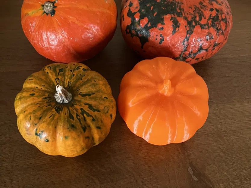 Quả bí ngô thật quét 3D bằng máy RevoPoint - Image 11