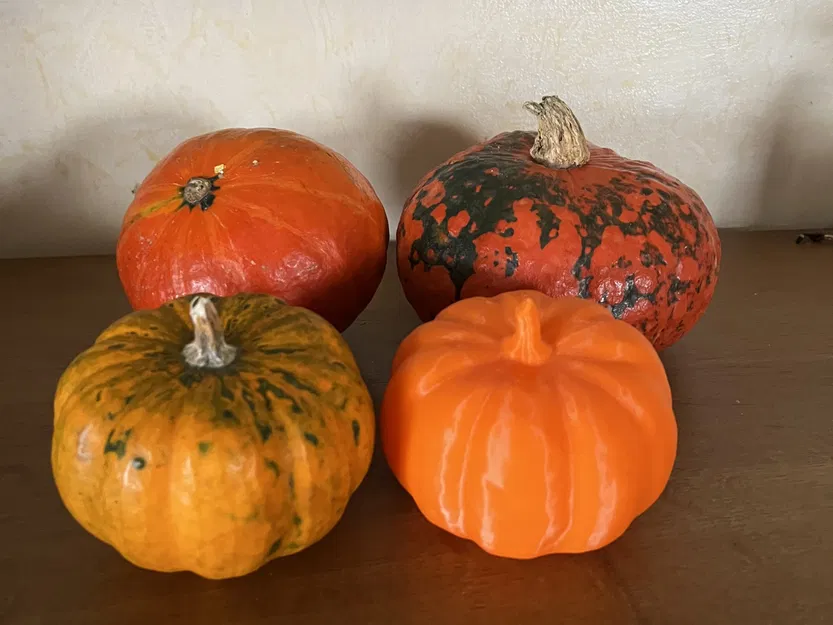 Quả bí ngô thật quét 3D bằng máy RevoPoint - Image 12