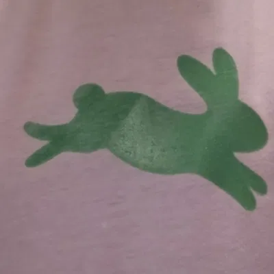 In áo phông hình thỏ dễ thương