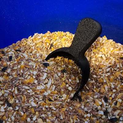 Cái xúc vật liệu hạt cho thức ăn gia cầm