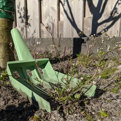 Công cụ làm cỏ vườn tiện lợi không bẩn tay