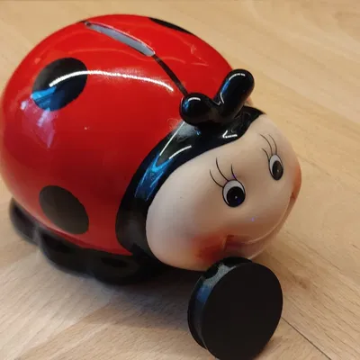 Nắp cho hộp tiền in từ FLEX