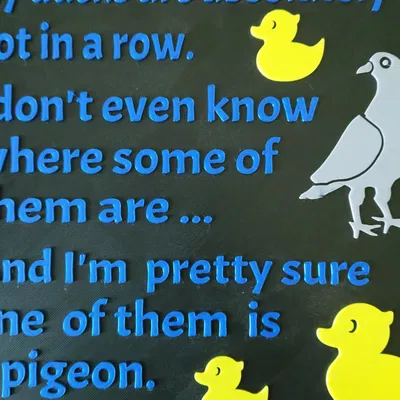 Biểu ngữ "Vịt của tôi hoàn toàn không xếp hàng