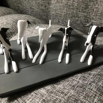 Chó con Whippet nhiều màu sắc với hai kiểu dáng