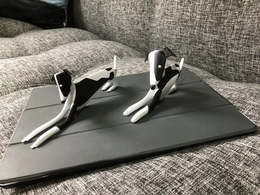 Chó con Whippet nhiều màu sắc với hai kiểu dáng - Image 4