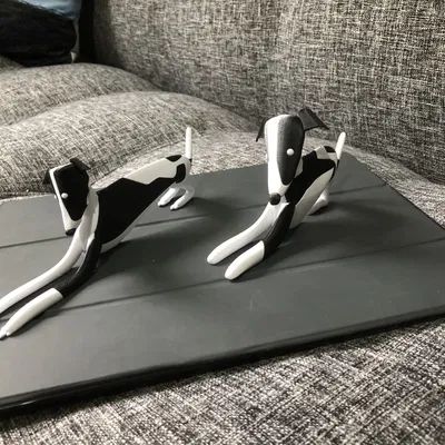 Chó con Whippet nhiều màu sắc với hai kiểu dáng