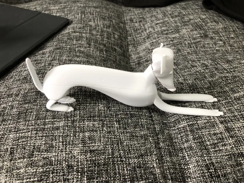 Chó con Whippet nhiều màu sắc với hai kiểu dáng - Image 5