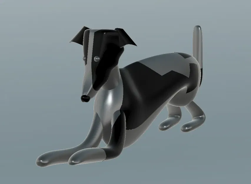 Chó con Whippet nhiều màu sắc với hai kiểu dáng - Image 8