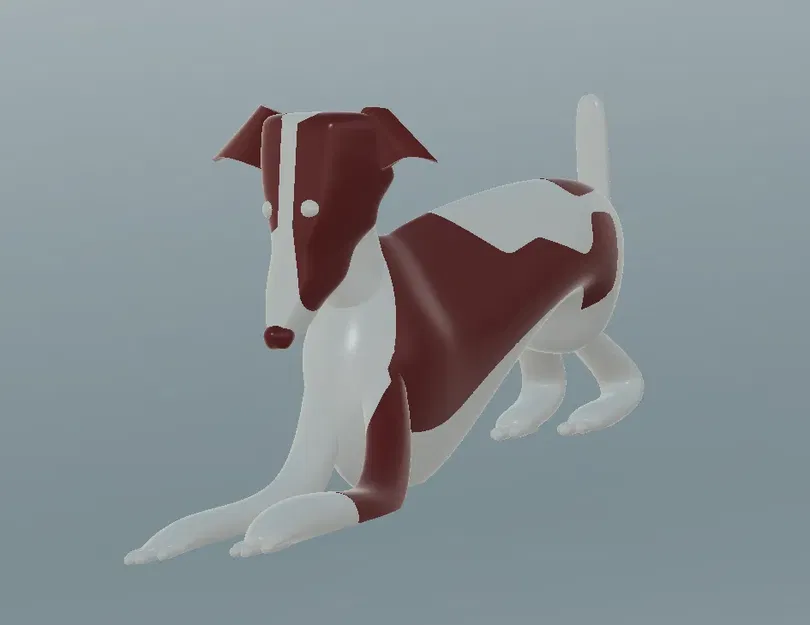 Chó con Whippet nhiều màu sắc với hai kiểu dáng - Image 10