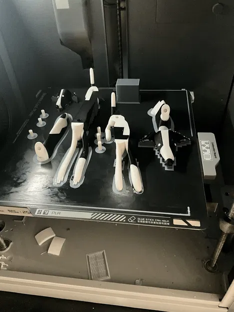 Chó con Whippet nhiều màu sắc với hai kiểu dáng - Image 15