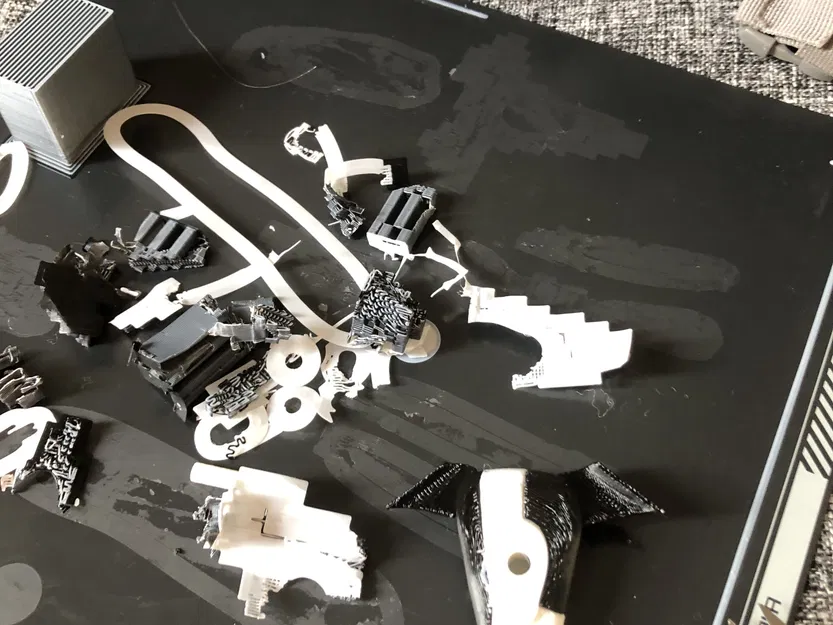 Chó con Whippet nhiều màu sắc với hai kiểu dáng - Image 17