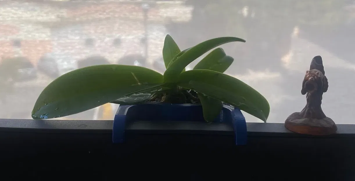 Chậu lan treo phía sau màn hình máy tính - Image 1