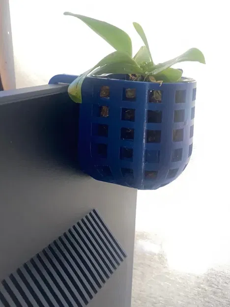 Chậu lan treo phía sau màn hình máy tính - Image 2