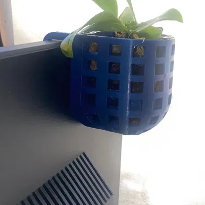 Chậu lan treo phía sau màn hình máy tính