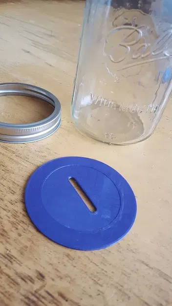 Nắp đậy khe cho lọ Mason miệng rộng - Image 1