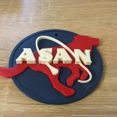 Biểu tượng chú chó Asan - NASA ngược lại