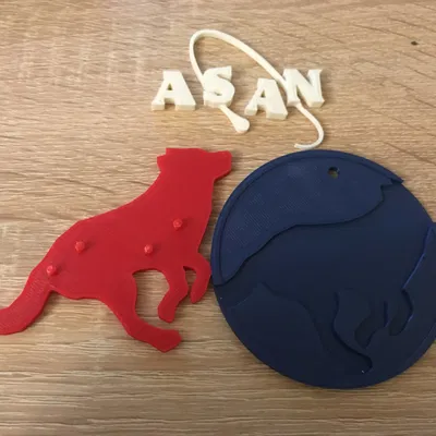 Biểu tượng chú chó Asan - NASA ngược lại