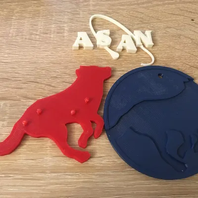 Biểu tượng chú chó Asan - NASA ngược lại