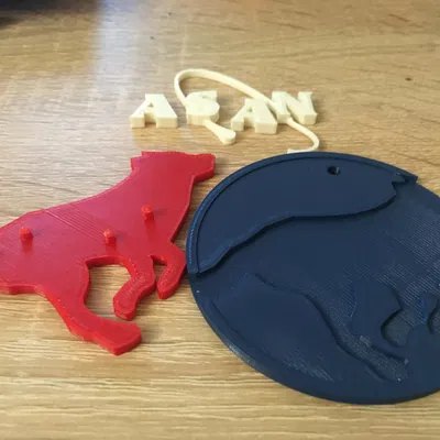 Biểu tượng chú chó Asan - NASA ngược lại