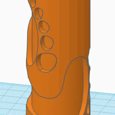 Con lăn dấu chân L và R trên cát
