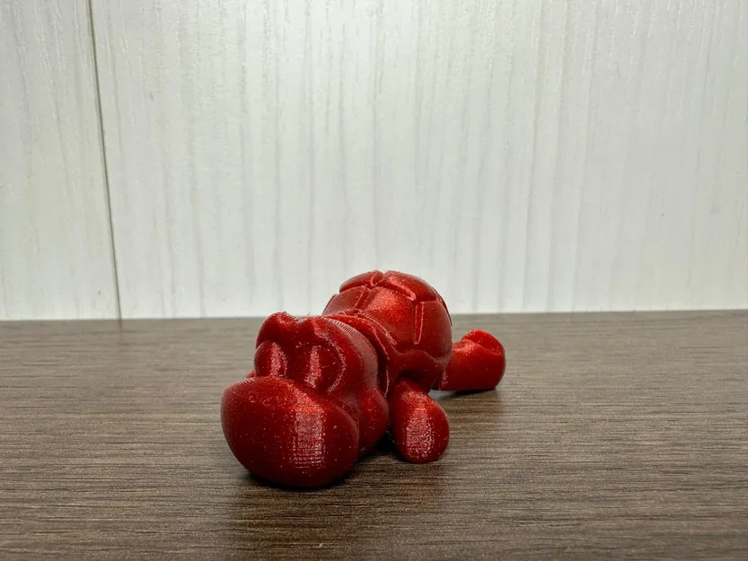 Rùa linh hoạt với mũ bảo hiểm - Image 1