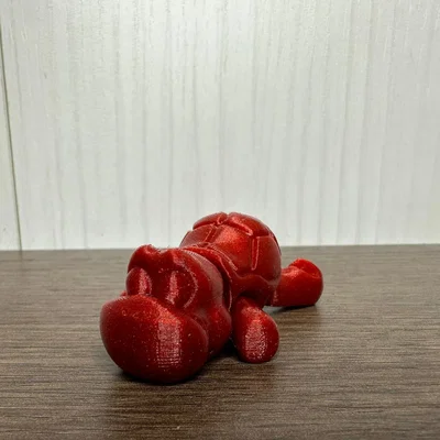 Rùa linh hoạt với mũ bảo hiểm