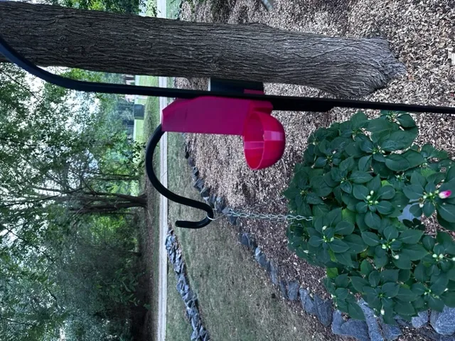 Giá đỡ camera và chậu cho chim trên giá đỡ đôi - Image 4