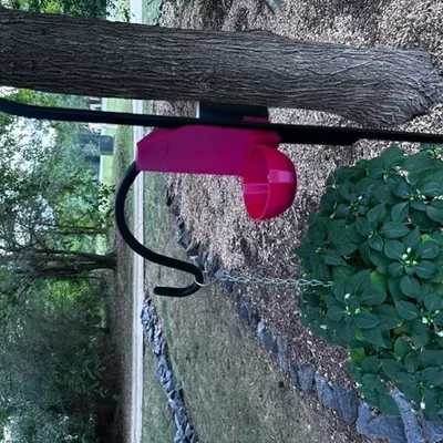 Giá đỡ camera và chậu cho chim trên giá đỡ đôi