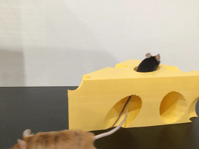 Đường hầm phô mai cho chuột cưng - Image 1