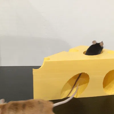 Đường hầm phô mai cho chuột cưng