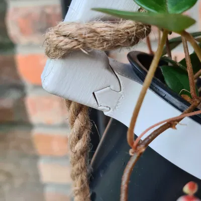 Giá treo chậu cây bằng dây thừng có thể thay đổi linh hoạt