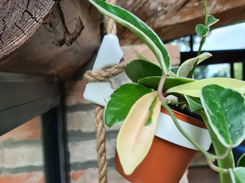 Giá treo chậu cây bằng dây thừng có thể thay đổi linh hoạt - Image 4