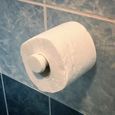 Giá đỡ giấy vệ sinh đơn giản DSTPH