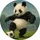 soccerpanda