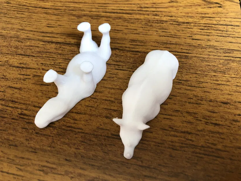 Mô hình tê giác quét ảnh photogrammetry từ thập niên 1960 - Image 2