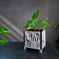 Chậu trồng cây trang trí nhà/ văn phòng với họa tiết tự nhiên - Thumbnail 1